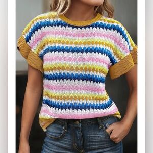 Multi-Color Textured S/S Sweater